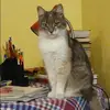 Отзыв от Элла Суханова